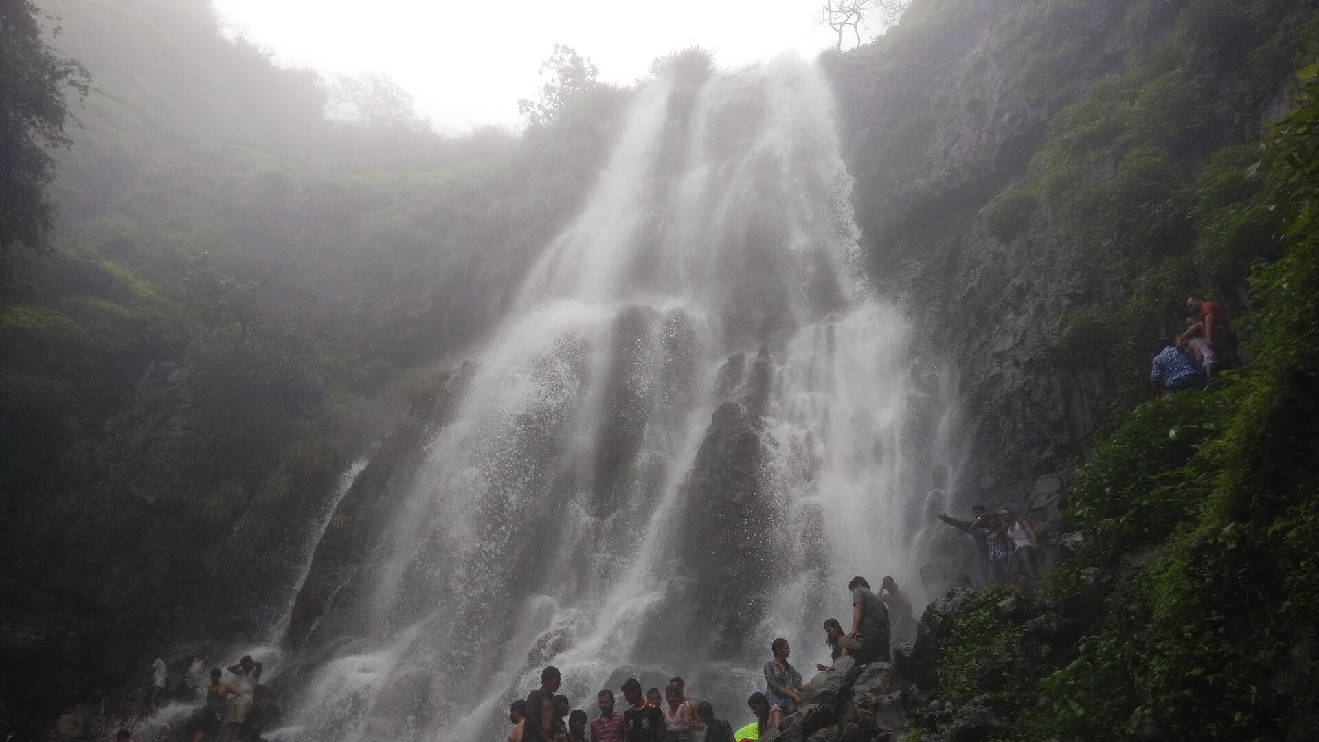 पावसाळ्यात कोसळणारा निसर्गरम्य आंबोली धबधबा आणि आजूबाजूची हिरवळ